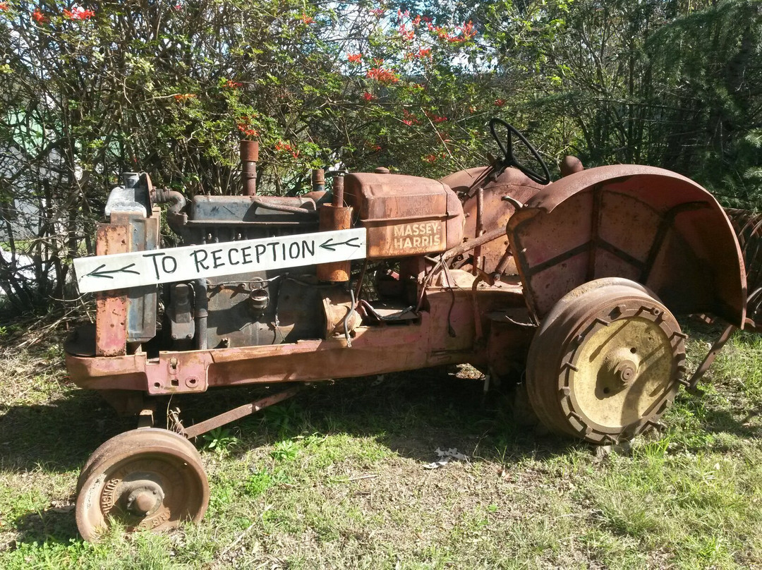 Mowbray Park Holidays-Picton必去景点