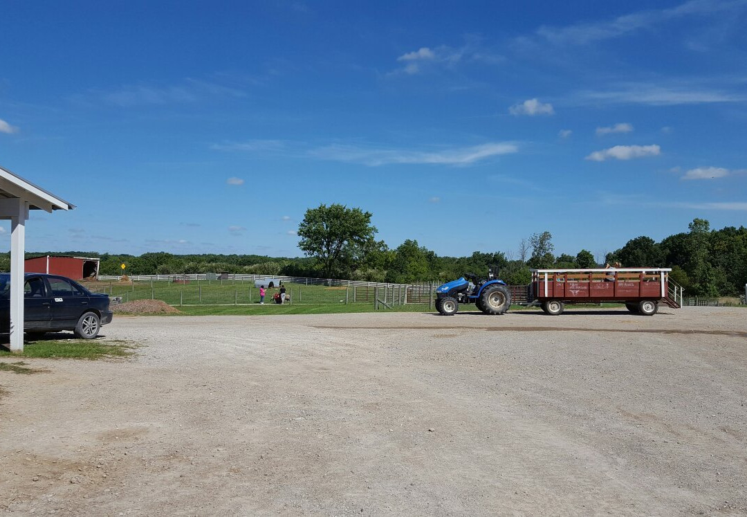 The Petting Farm at Domino's Farms-安娜堡必去景点