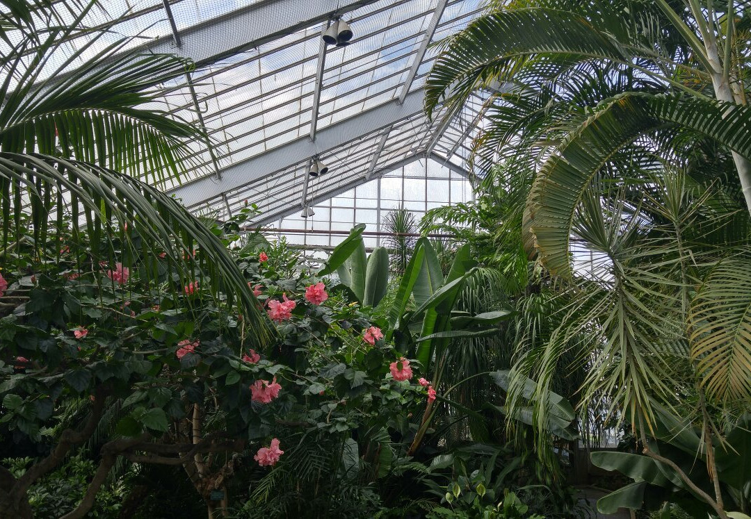 Centennial Botanical Conservatory景点图片