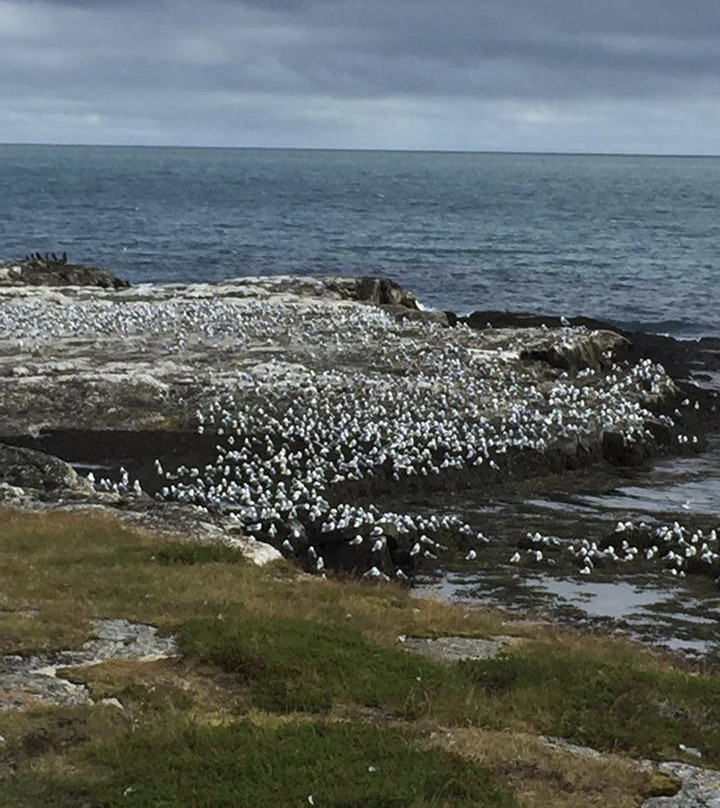 Vadsø museum - Ruija kvenmuseum景点图片