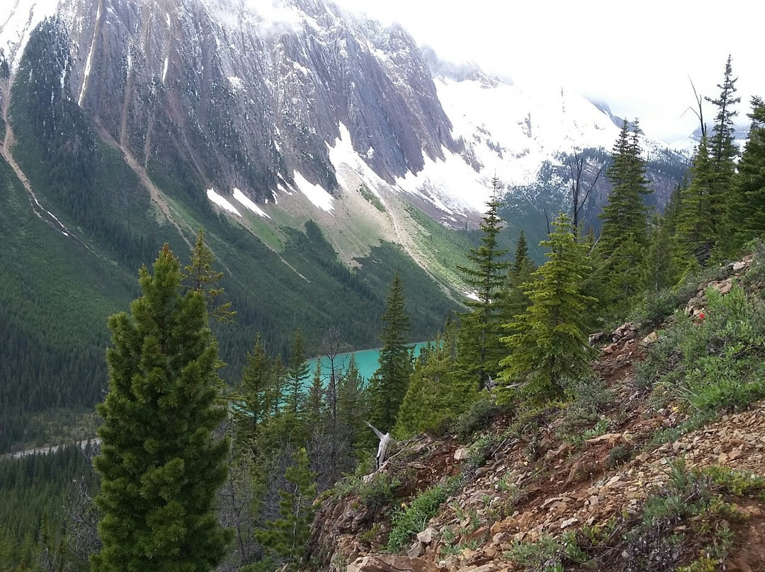 Paget Peak景点图片