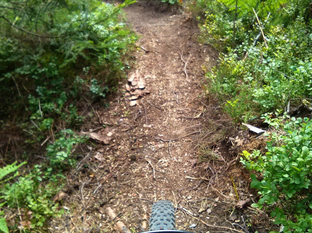 MTB Area One-菲拉赫必去景点