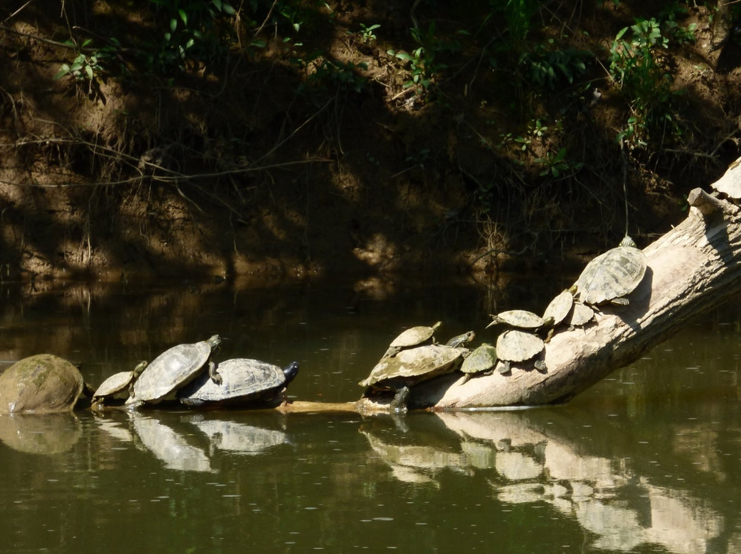 The Parklands of Floyds Fork-路易斯维尔必去景点