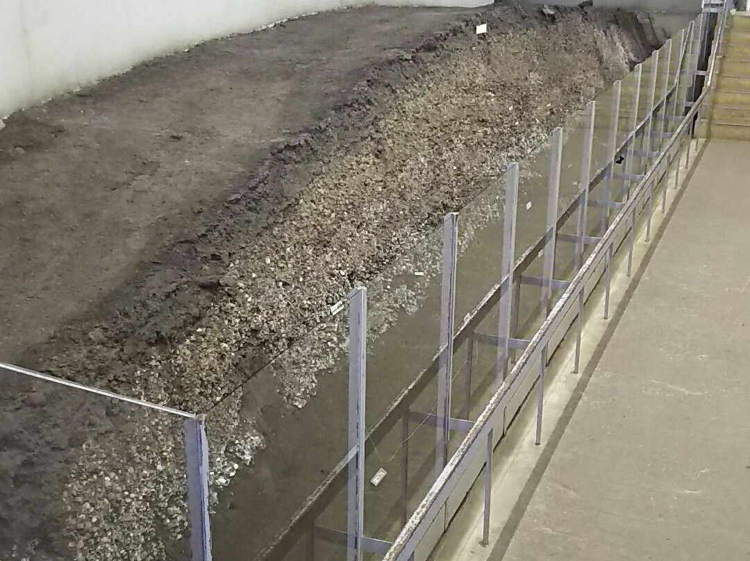 Kasori Shellmounds Site Museum-千叶市必去景点