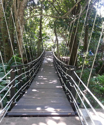 Kula Wild Adventure Park景点门票图片