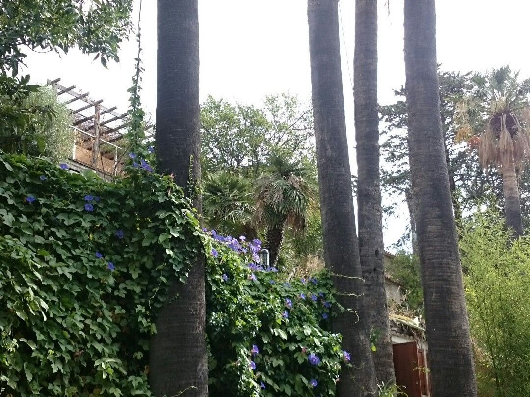 Jardin Mediterranean du Mas de la Serre景点图片