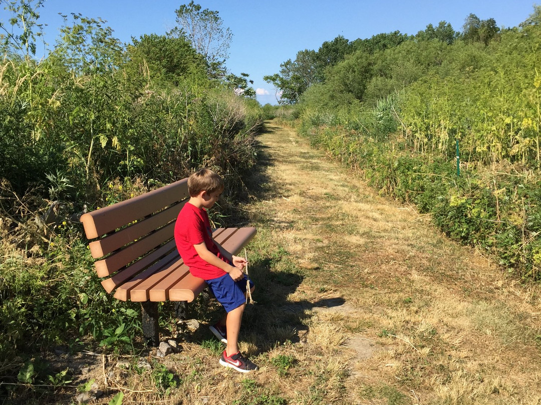Cleveland Lakefront Nature Preserve-克利夫兰必去景点