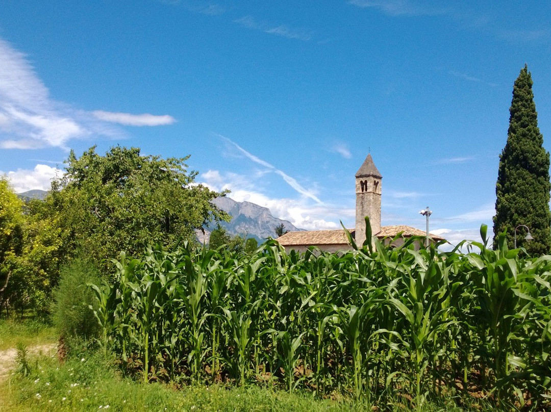 Chiesa di San Bartolomeo Apostolo景点图片