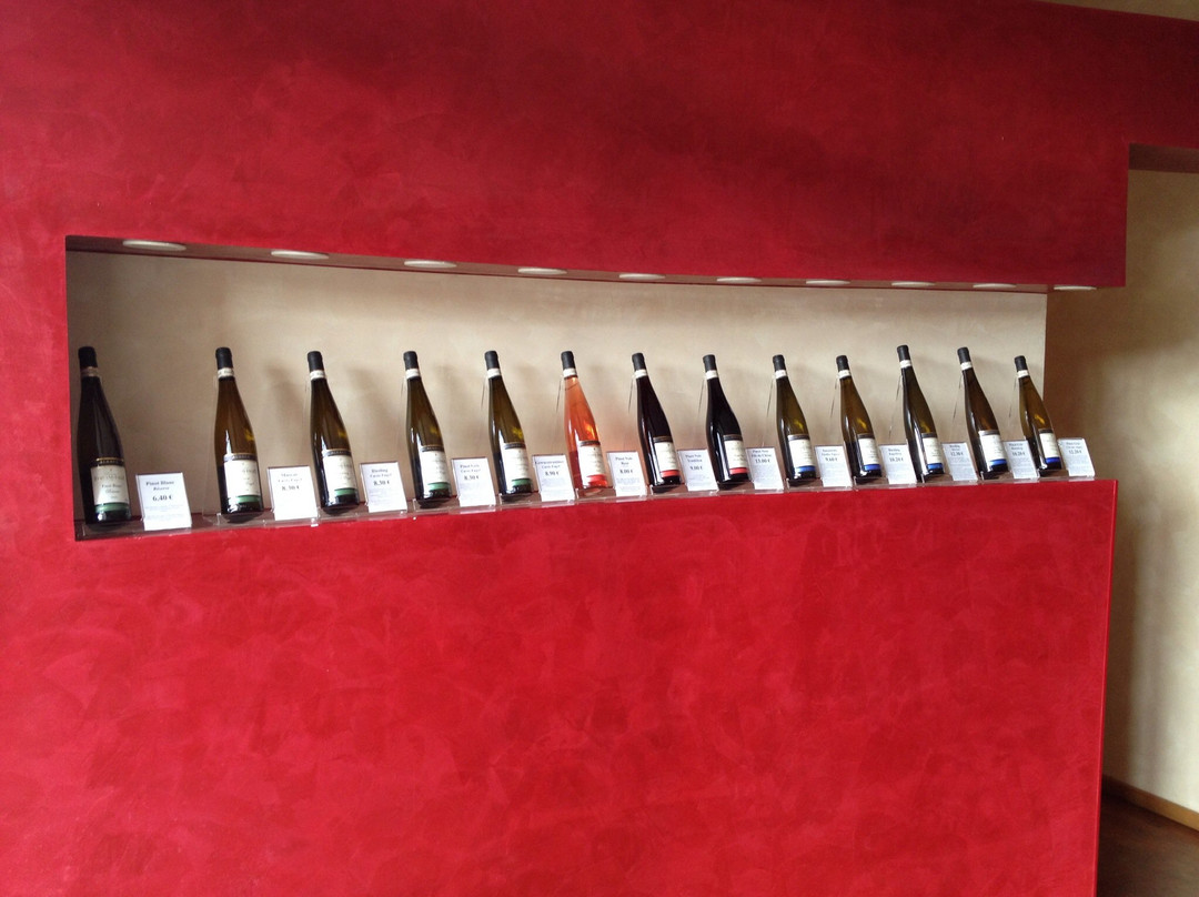 Domaine Fernand Engel景点图片