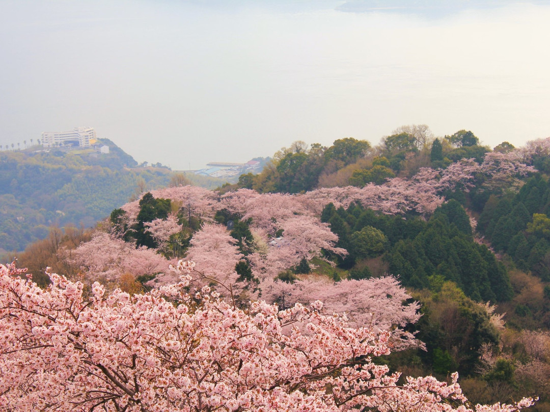 Mt. Sekizenzan-上岛町必去景点