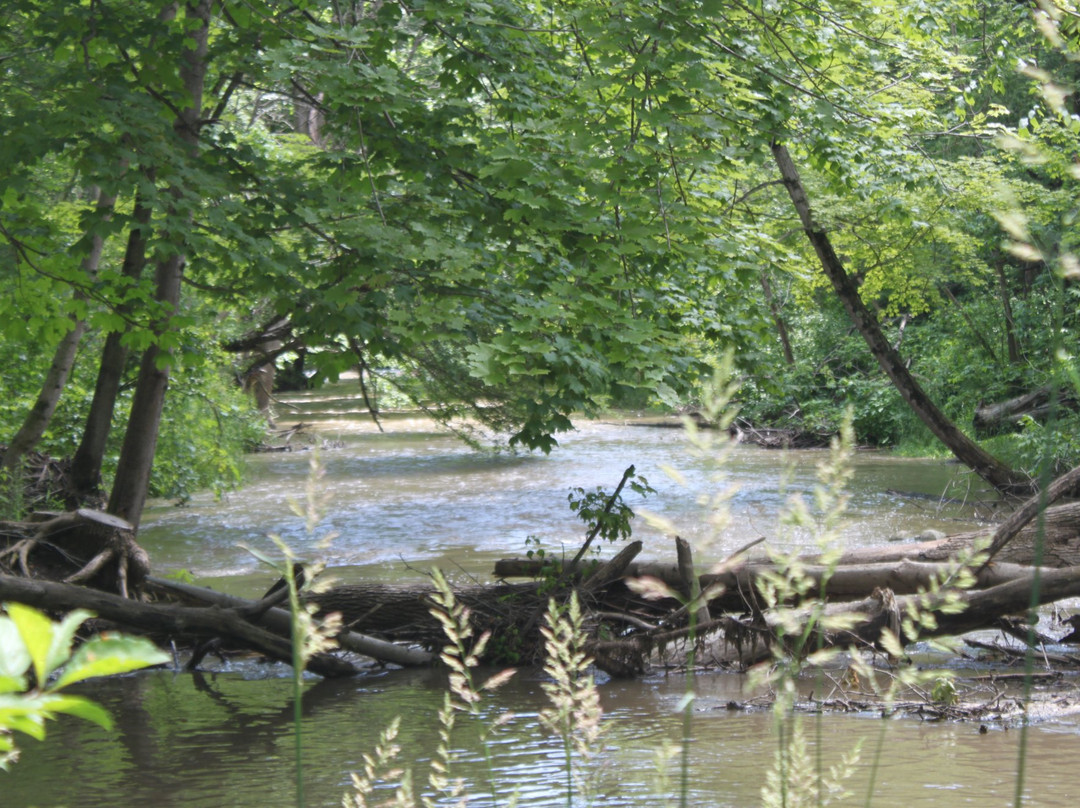 Petrifying Springs Park-基诺沙必去景点