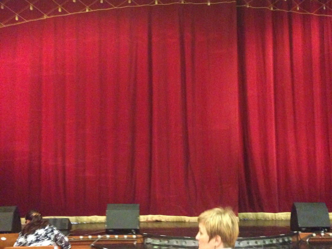 Ural State Variety Theater景点图片