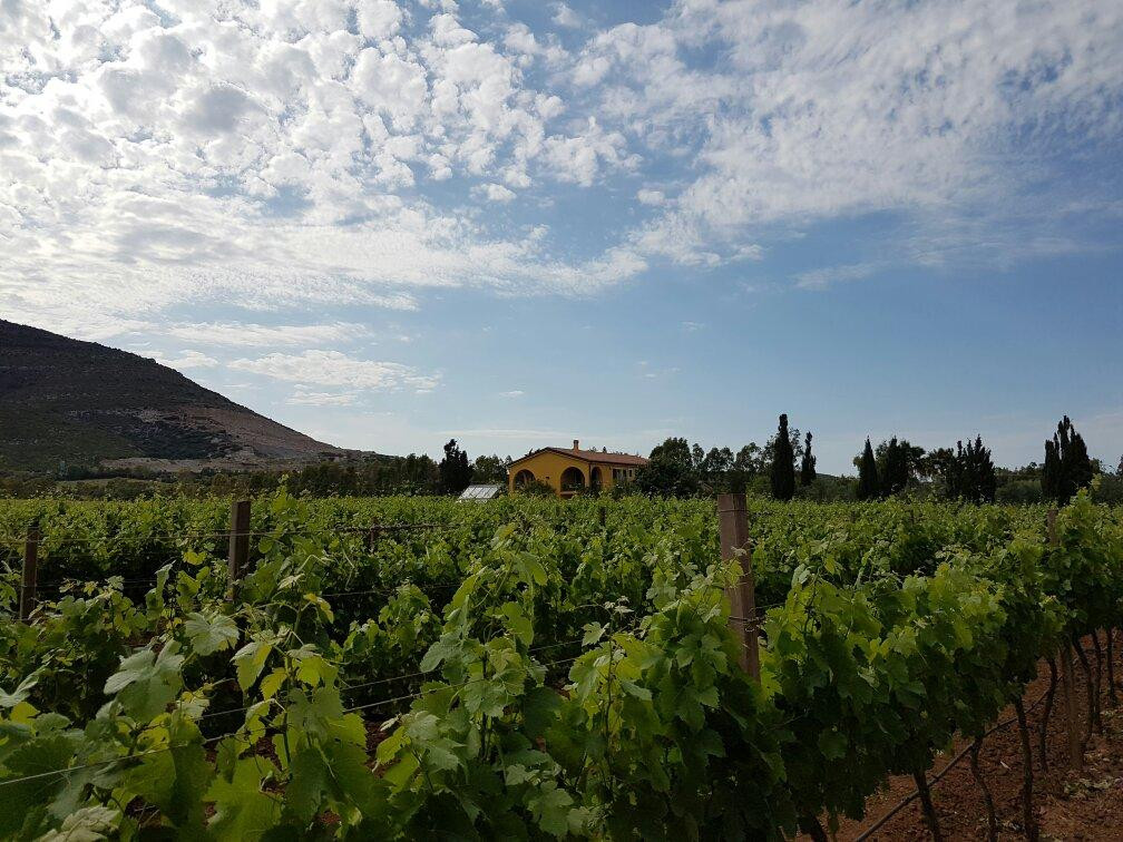 阿尔盖罗旅游景点-Azienda Agricola Leda' d'Ittiri