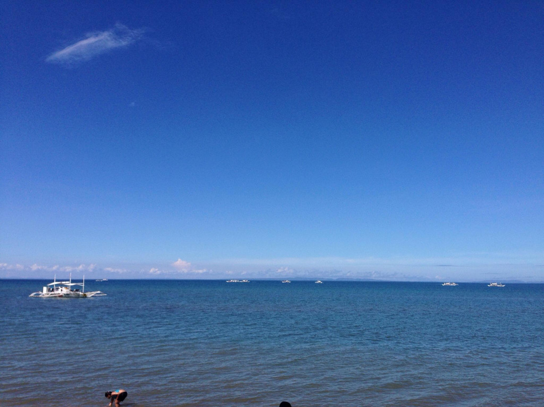 Shoreline Beach Resort主图