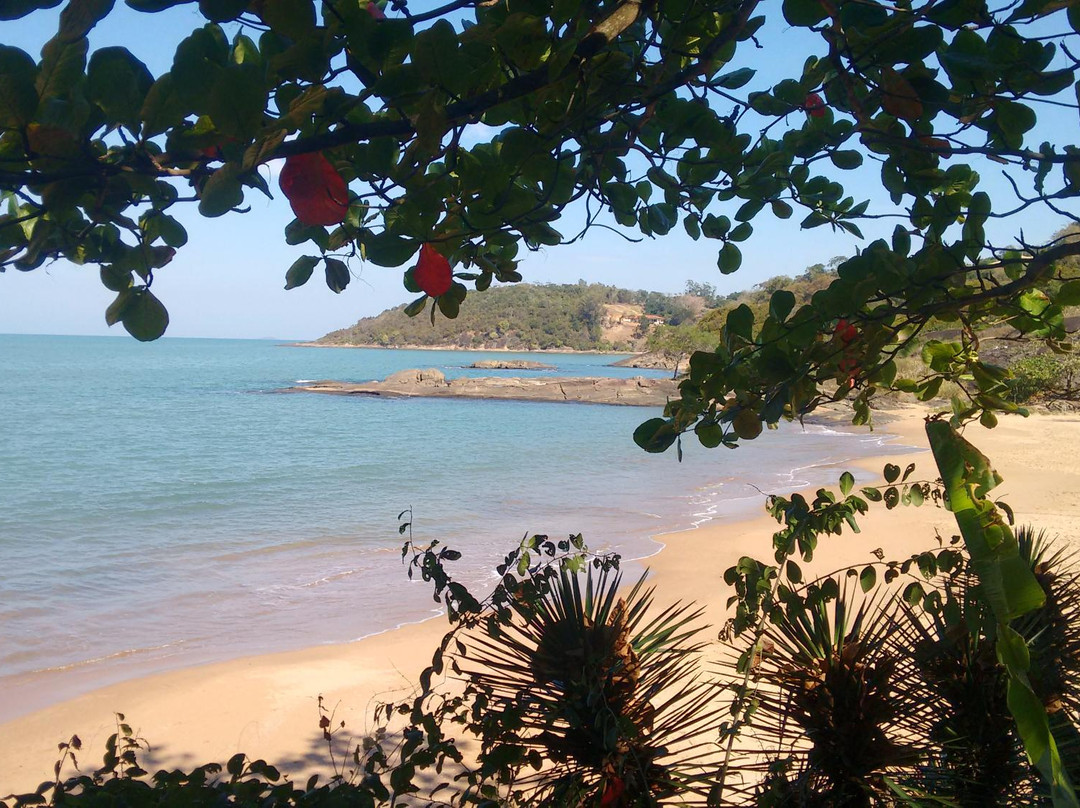 Coqueiro Beach景点图片