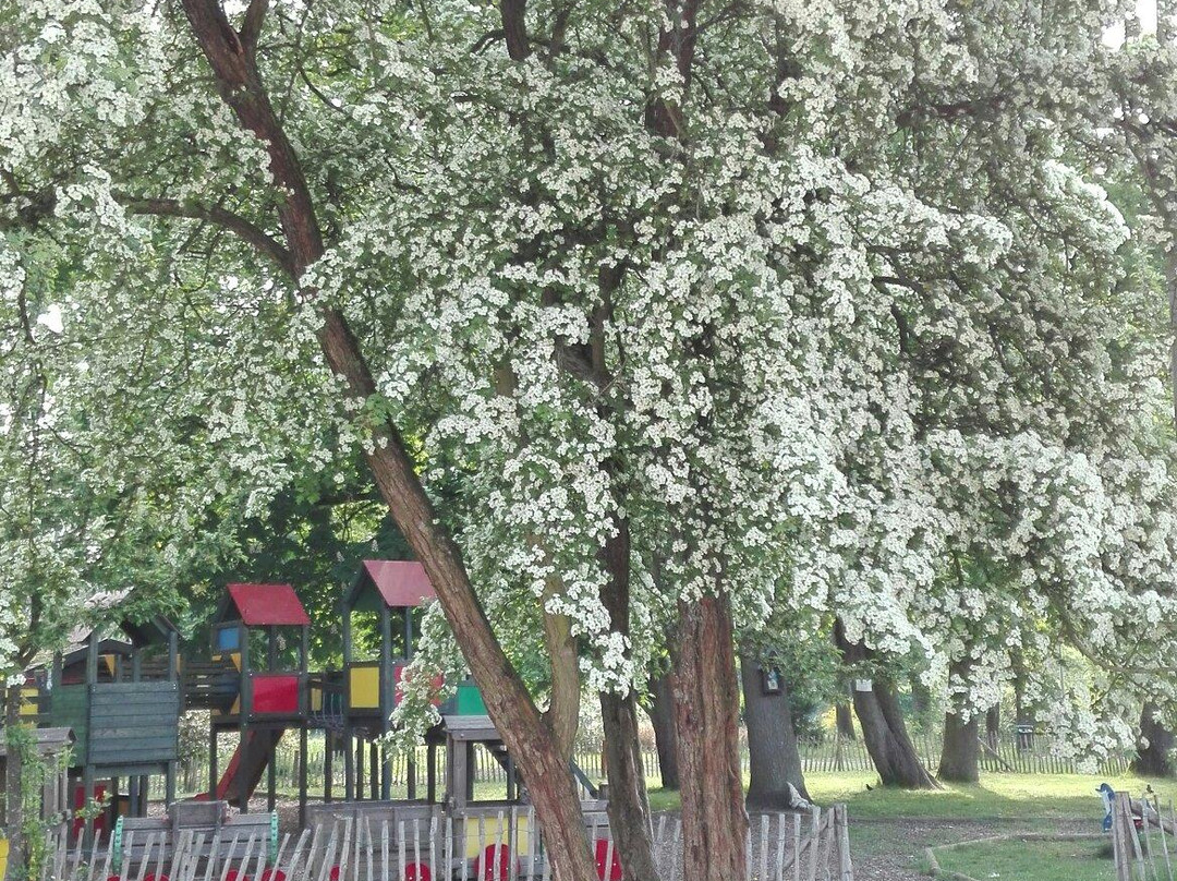 Soete-Wey Hostellerie主图