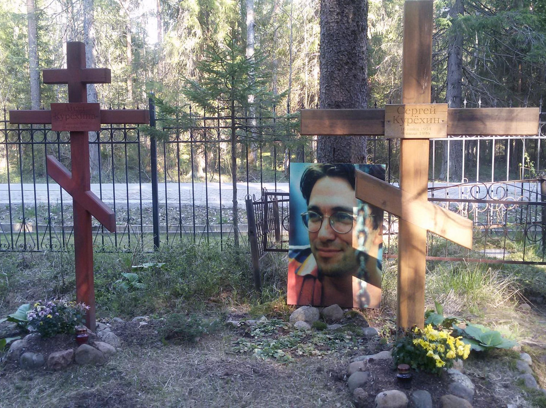 Komarovo Cemetery景点图片