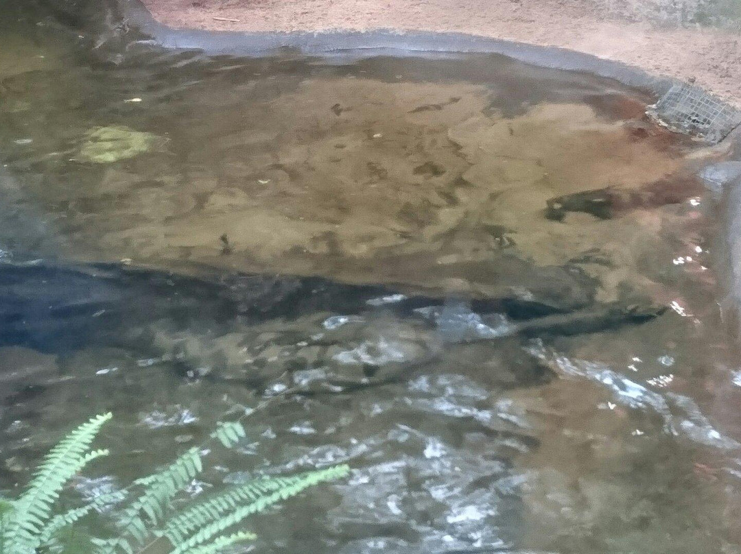 Parque Natural das Aves