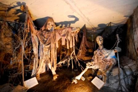 Monster Muzeum-Pelhrimov必去景点