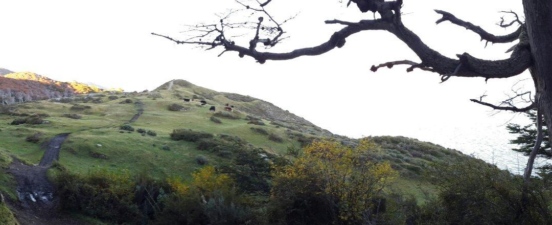 Playa Larga-乌斯怀亚必去景点