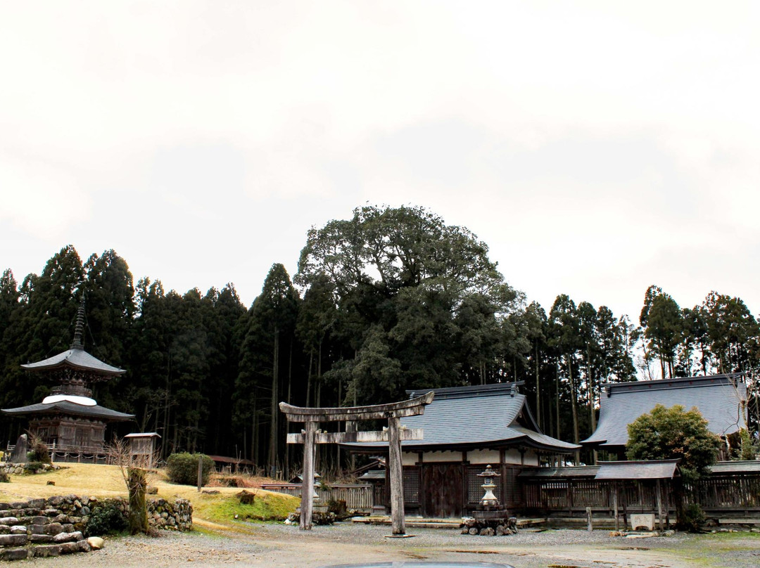 Ninigi Shrine-高岛市必去景点