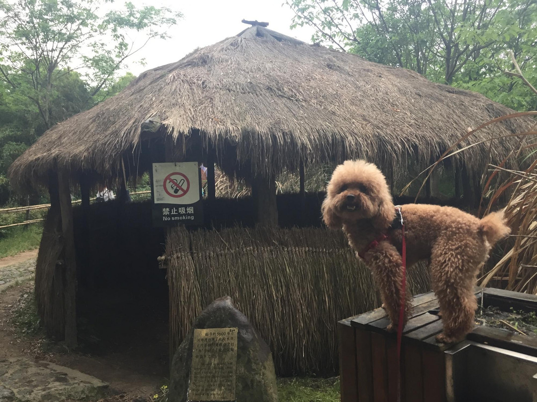 河姆渡遗址-余姚市必去景点