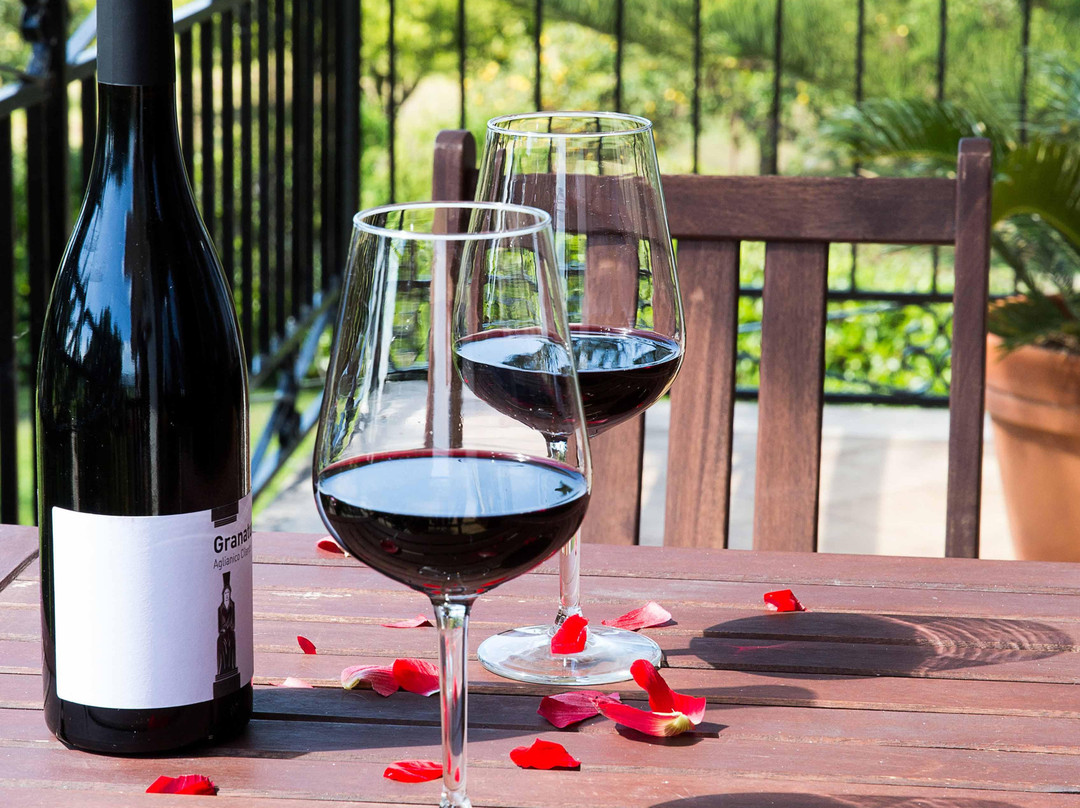 Cannito酒店住宿-B&B Arcobaleno