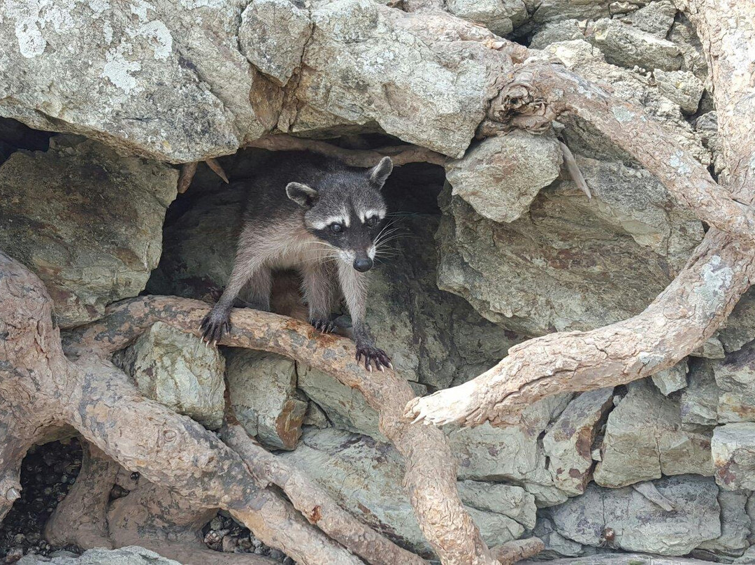 dondeJavitours-萨玛拉滩必去景点