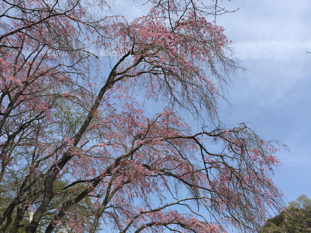 Tama Forest Science Garden-八王子市必去景点