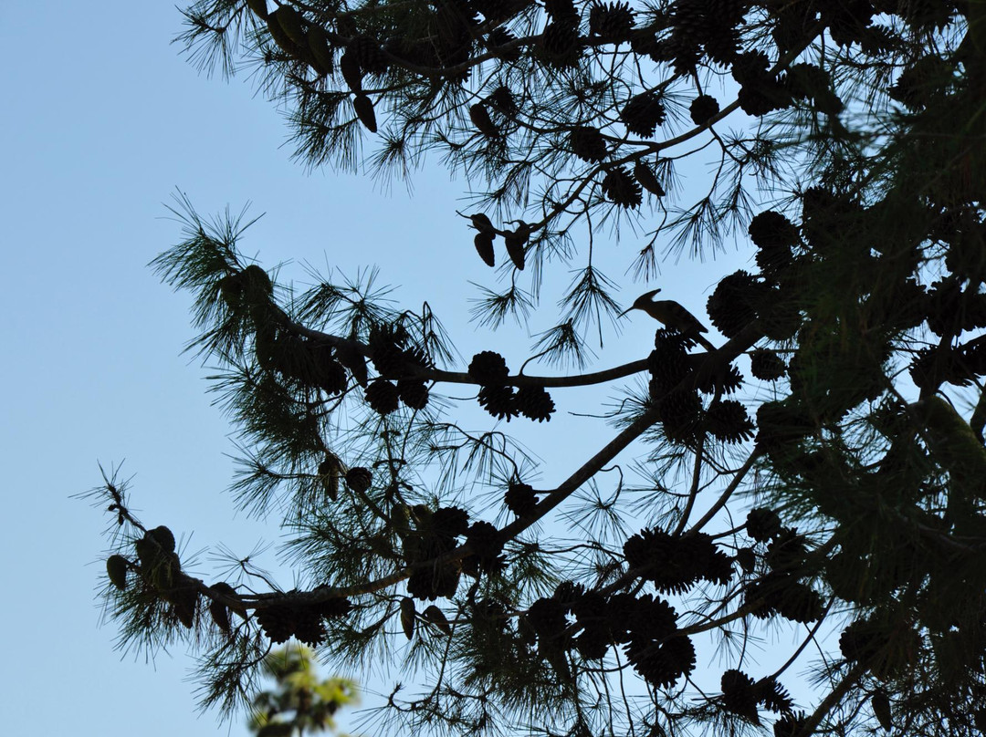 Independence Park-耶路撒冷必去景点