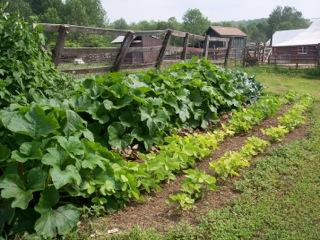 Apple Pond Farm-Callicoon Center必去景点