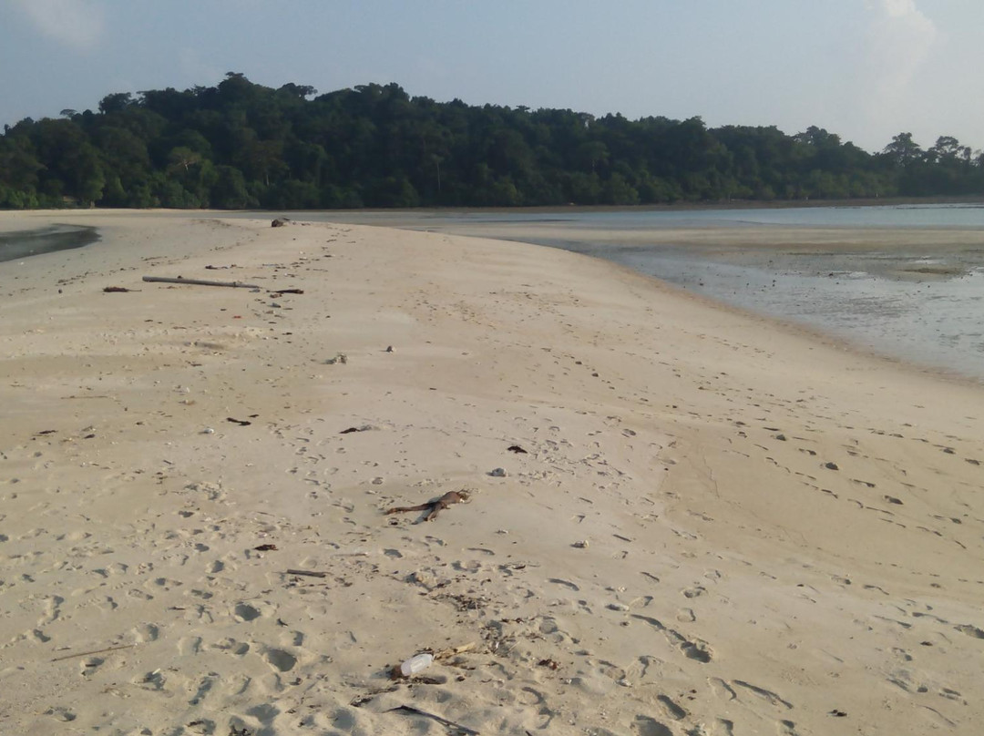 Diglipur Beach景点图片