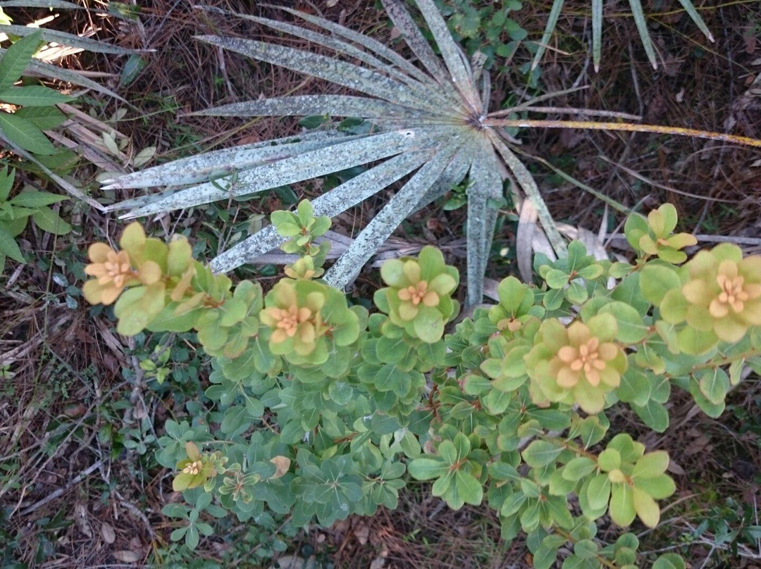 Oslo Riverfront Conservation Area (ORCA)-维罗海滩必去景点