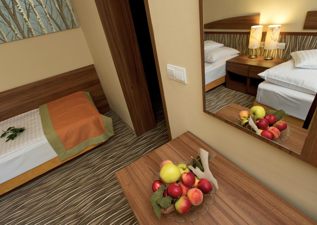 Park Hotel Gyula主图