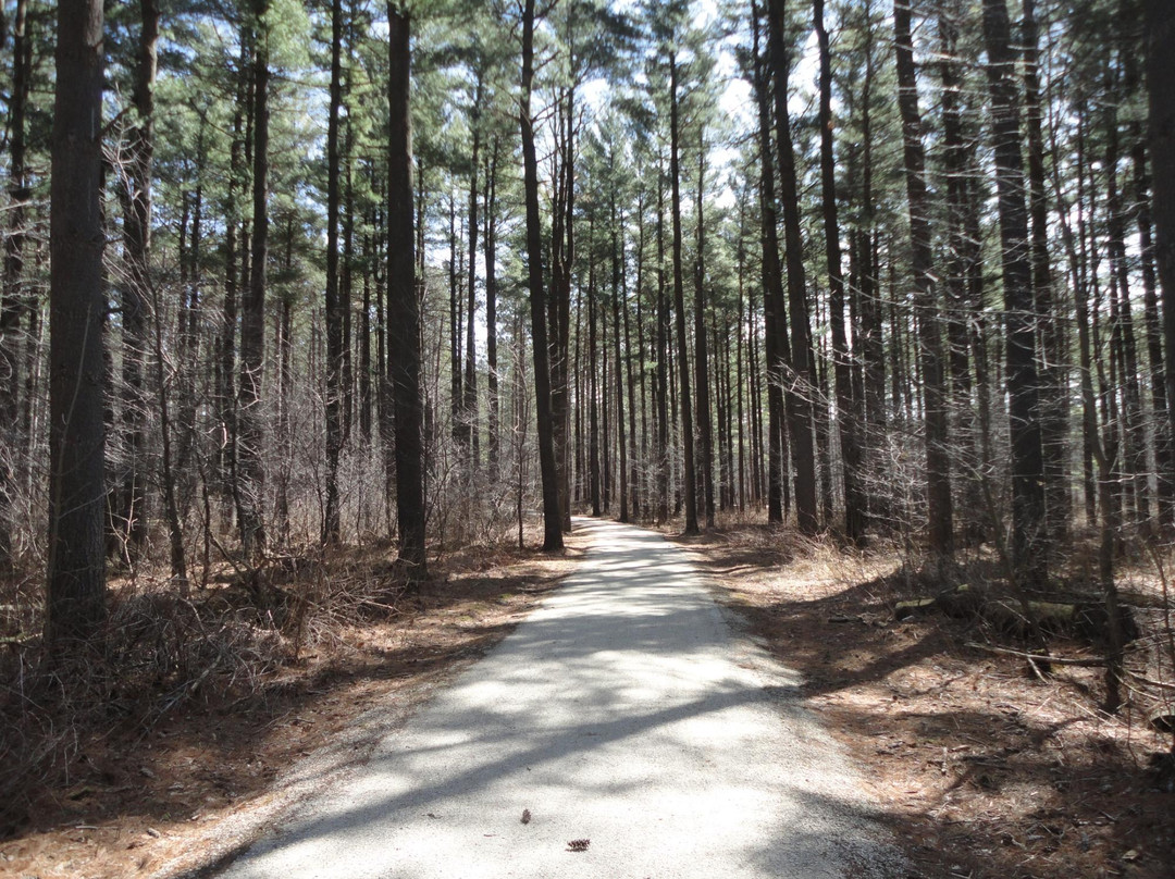 Kettle Moraine State Forest景点图片