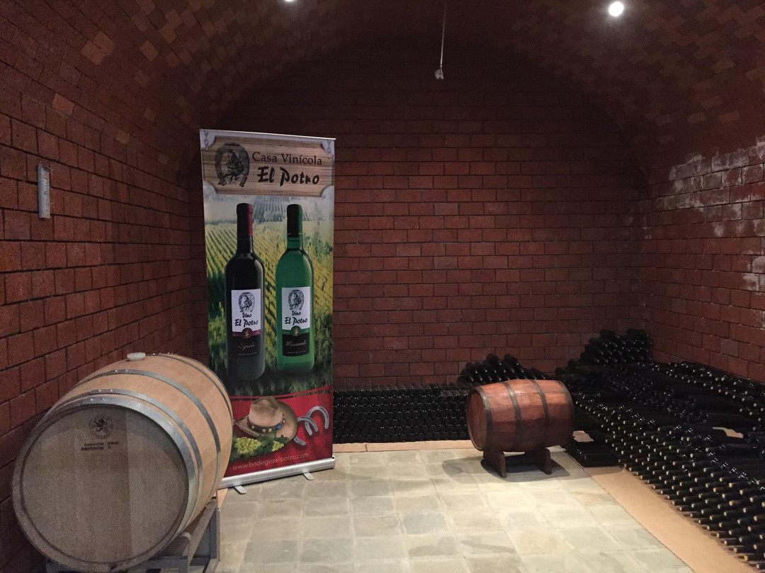 Casa Vinicola El Potro