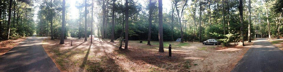 Harold Parker State Forest景点图片