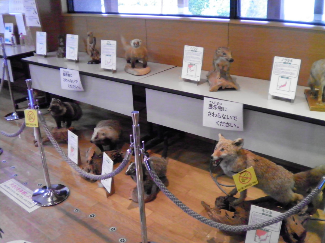 Eco Museum Sekigahara-关原町必去景点