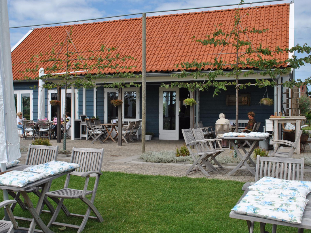 Welcome in - Sint-Anthonijshoek, Studio's Met Eigen Tuin, Theeschenkerij en Pluktuin