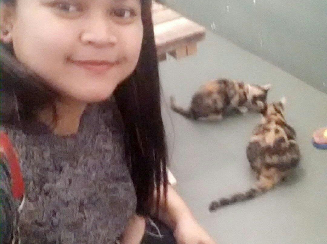 The Country Cat Cafe-波德申必去景点