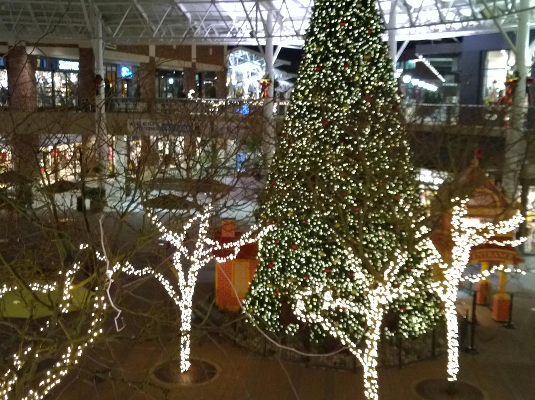 Redmond Town Center-雷德蒙德必去景点
