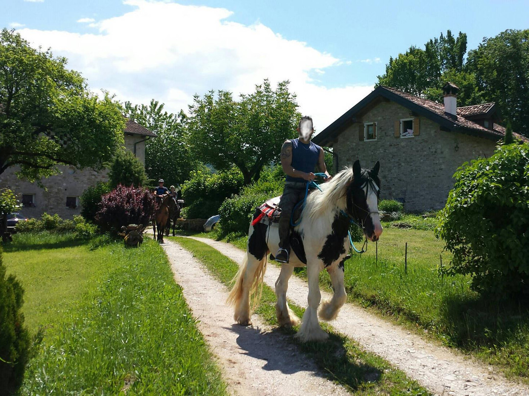 Agriturismo Casteldardo主图