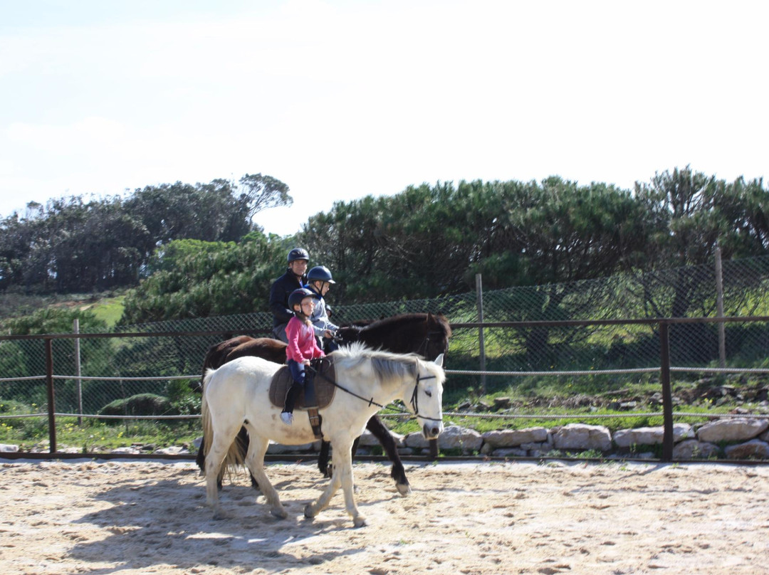 Equivicentinos-Vila do Bispo必去景点