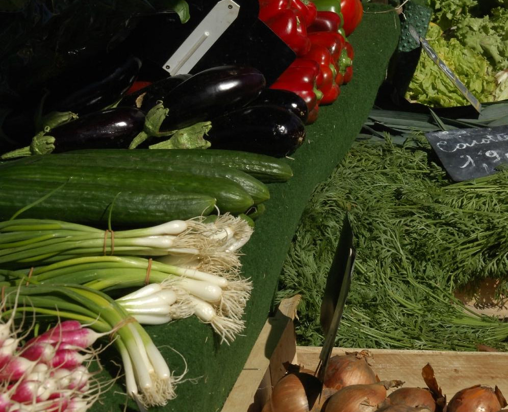 Marché Provençal-Cogolin必去景点