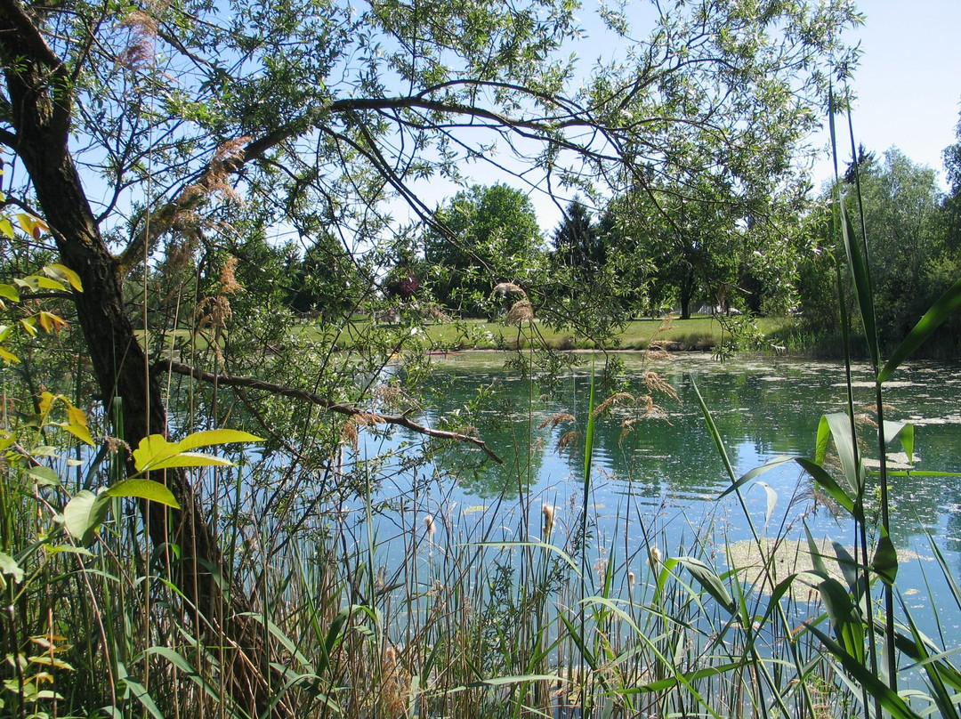 Camping Clicochic Au Clair Ruisseau