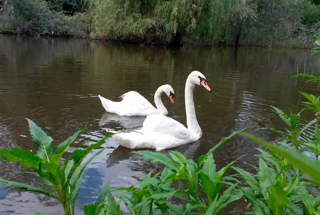 Poltava City Park - Arboretum-Poltava必去景点