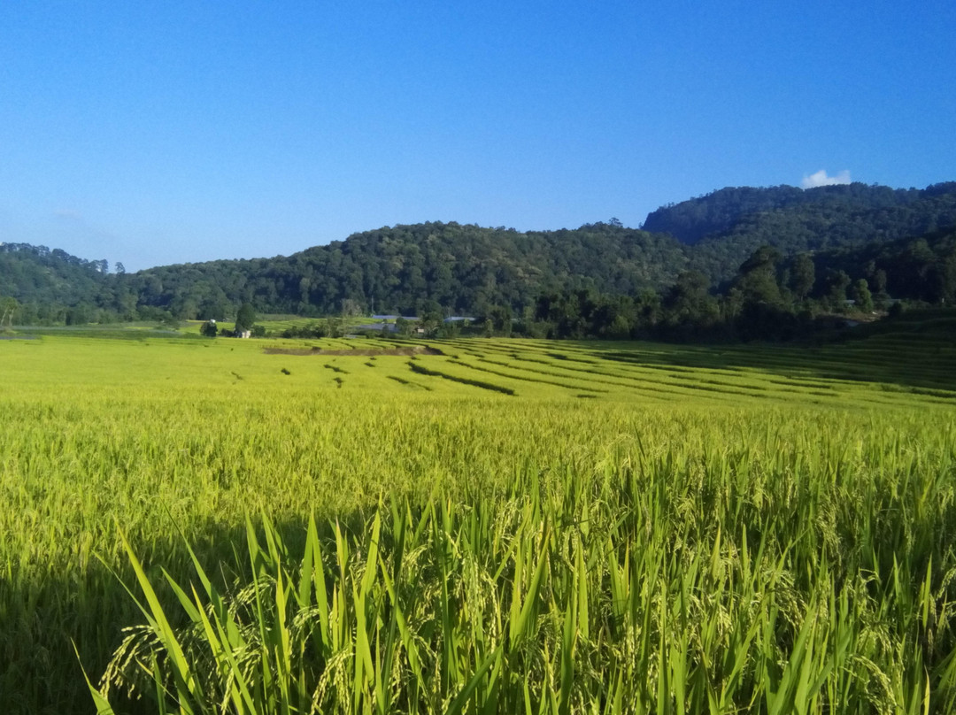 Bussadee Tour - Day Tours-山甘烹必去景点
