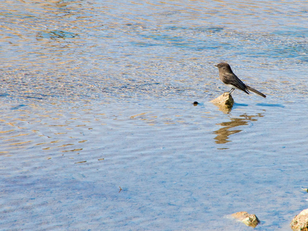 Gunpowder Point-丘拉维斯塔必去景点