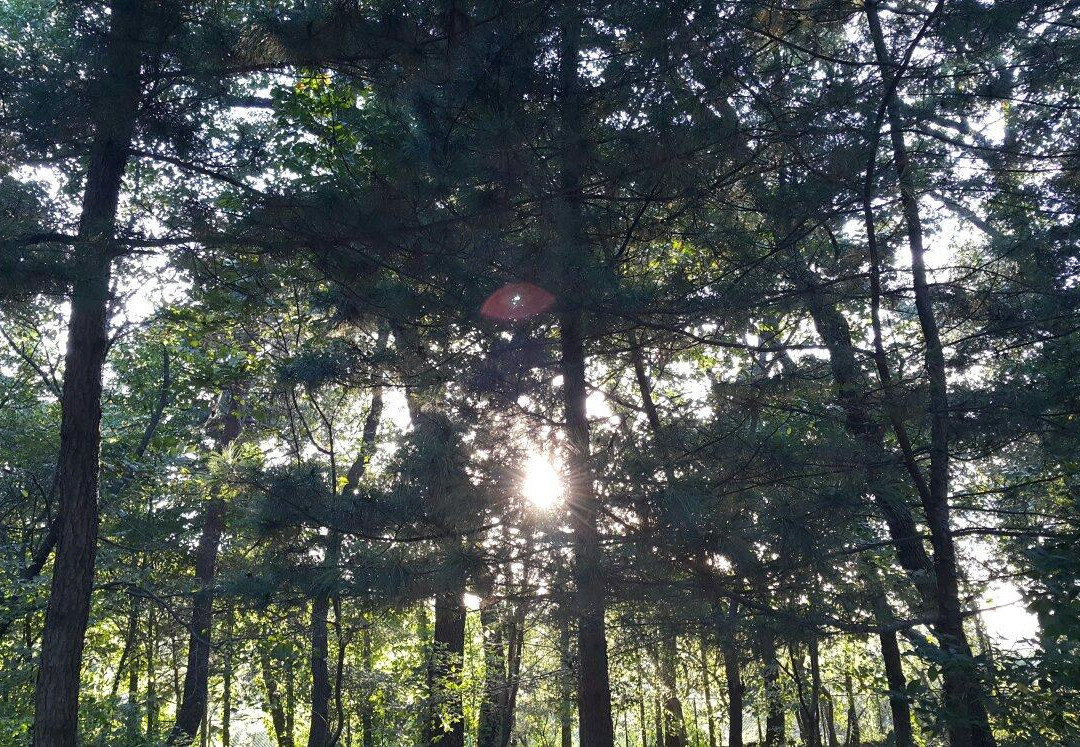 Seooreung Royal Tombs-高阳市必去景点