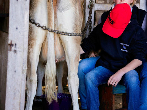 Paddock to Potager-图沃柏必去景点